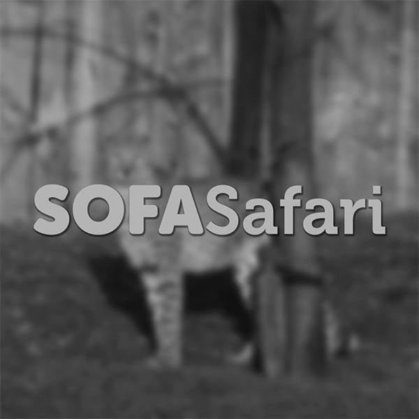 Sofasafari